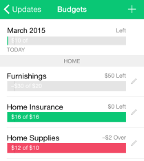 Mint app budgets